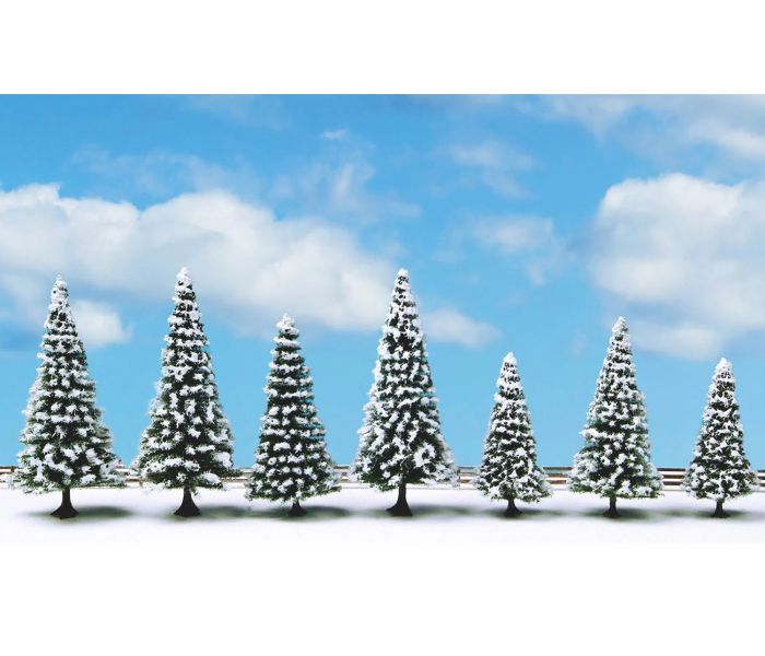 Snow Fir (7) Classic Economy Trees 8-12cm