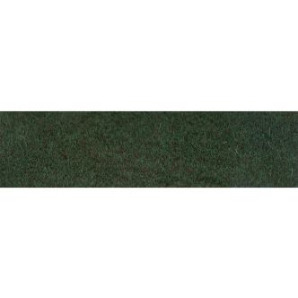 fa170202.jpg