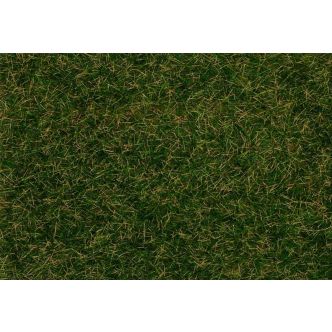 fa170208.jpg