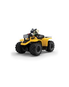 cicc81002.jpg